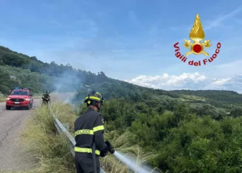 Incendi di vegetazione nell’Oristanese