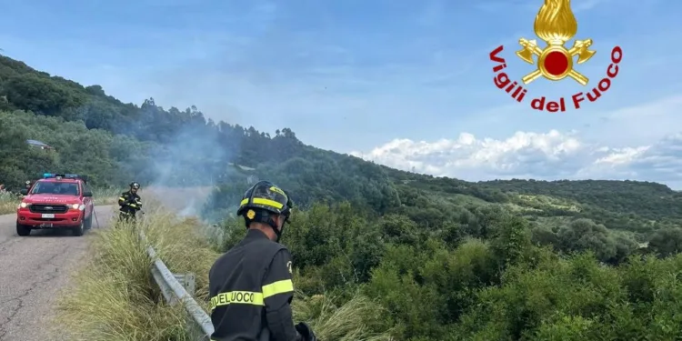 Incendi di vegetazione nell’Oristanese