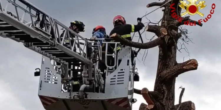 Sorso: salvata una persona a Lu Tuvaraggiu