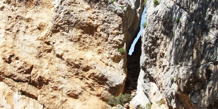 “Dai monti al mare”: “Itinerari in Sardegna” tra Oliena, Dorgali e la Valle del Lanaitto