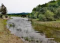 Passeggiata montana sui sentieri della transumanza (passeggiata montana sui sentieri della transumanza)