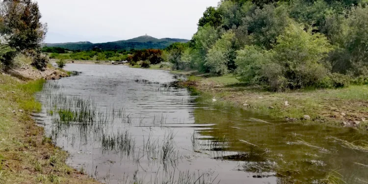 Passeggiata montana sui sentieri della transumanza (passeggiata montana sui sentieri della transumanza)