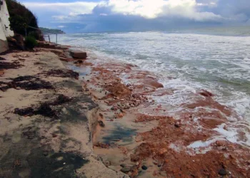 L’Autorità di Bacino approva il Piano speditivo per la gestione dei sedimenti a seguito degli eventi meteorologici del 18/21 gennaio 2026 (emergenza Ciclone Harry)