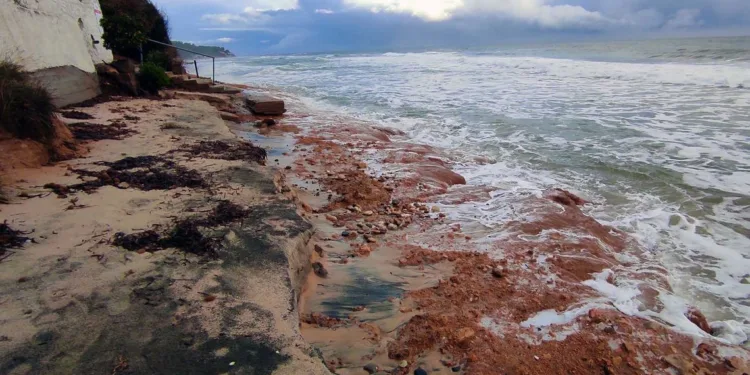 L’Autorità di Bacino approva il Piano speditivo per la gestione dei sedimenti a seguito degli eventi meteorologici del 18/21 gennaio 2026 (emergenza Ciclone Harry)
