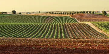Agricoltura, 400mila euro per le comunità di tutela della biodiversità e del cibo