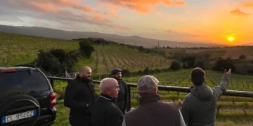 Radizi 2026, si parte: da domani tre giorni nel Nord Ovest della Sardegna per raccontare il vino attraverso il territorio
