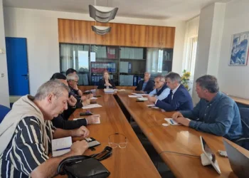 Case e Ospedali di Comunità, la direttrice della Asl 5 Grazia Cattina incontra i sindaci del territorio