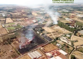 Incendi a San Gavino Monreale, Assemini e Narbolia