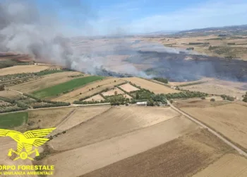 Nuraminis: incendio in località Monte Nieddu
