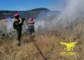 Incendio nelle campagne di Arzachena