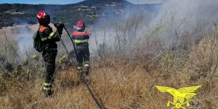 Incendio nelle campagne di Arzachena