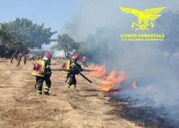 Incendi a Olbia e Nuraminis
