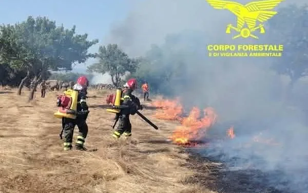 Incendi a Olbia e Nuraminis