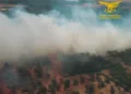 Incendi a Olmedo e Riola Sardo