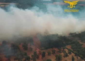 Incendi a Olmedo e Riola Sardo
