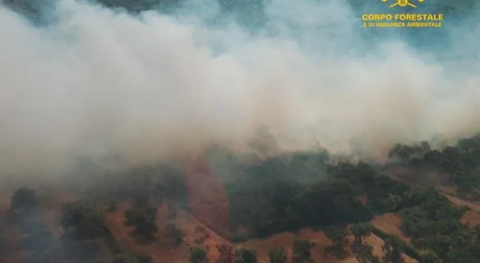 Incendi a Olmedo e Riola Sardo