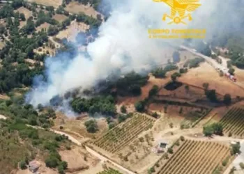 Incendi a Monti, Siurgus Donigala, Barumini, Nurri e Carbonia