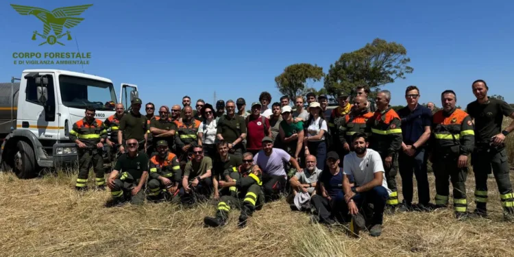 Stage UNIPA in Sardegna: una settimana di formazione su tecniche antincendio e modelli di gestione dei boschi