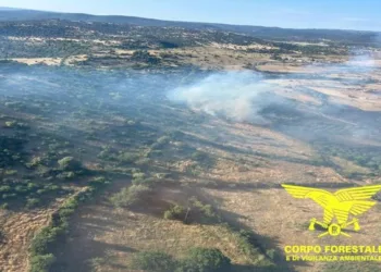 Incendi a Sedilo, Oniferi e Palmas Arborea