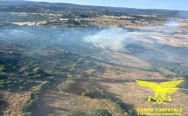 Incendi a Sedilo, Oniferi e Palmas Arborea