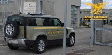 Villasor: colto in flagranza di reato, arrestato un incendiario