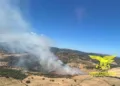 Incendi in Sardegna: gli interventi del Corpo forestale