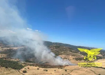 Incendi in Sardegna: gli interventi del Corpo forestale