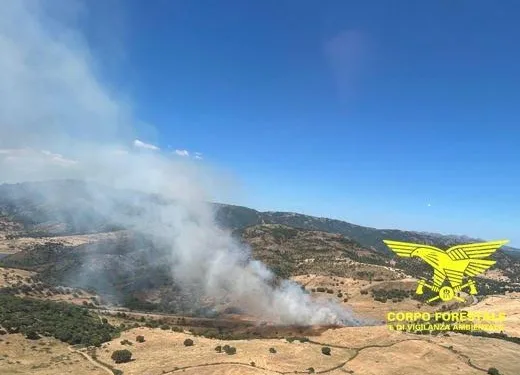 Incendi in Sardegna: gli interventi del Corpo forestale