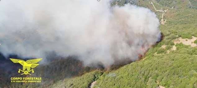 Incendi a Siamaggiore, Nurachi, Uras, Guspini, Silius e Capoterra