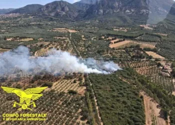 Villacidro: incendio in località Sa Mandara