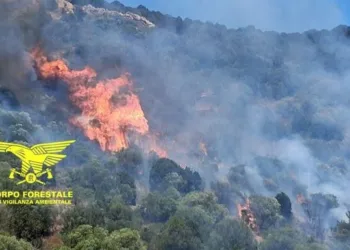 Incendi a Teulada, Thiesi, Nuraminis e Ghilarza