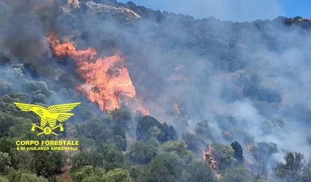 Incendi a Teulada, Thiesi, Nuraminis e Ghilarza