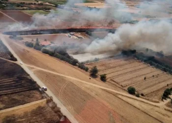 Incendi a San Vito, Ploaghe e Stintino