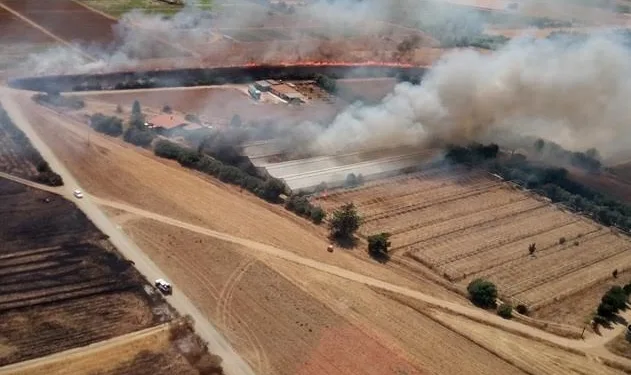 Incendi a San Vito, Ploaghe e Stintino