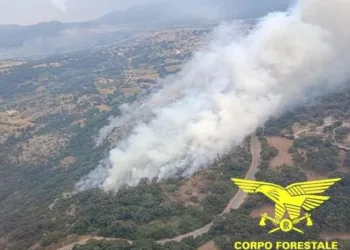 Incendi a Nulvi, Luras, Palmas Arborea, Fonni e Ploaghe