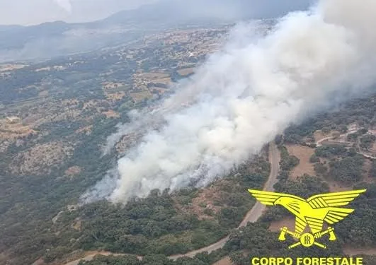 Incendi a Nulvi, Luras, Palmas Arborea, Fonni e Ploaghe