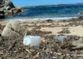 Palau celebra la Giornata Mondiale degli Oceani