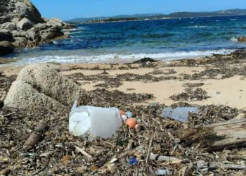 Palau celebra la Giornata Mondiale degli Oceani