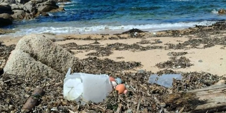 Palau celebra la Giornata Mondiale degli Oceani
