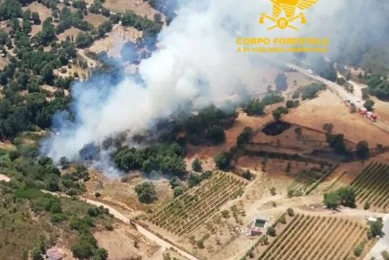 Incendi a Teti, Lanusei, Sassari, Usellus e Sestu