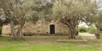 Tramatza: i festeggiamenti in onore di San Giovanni Battista