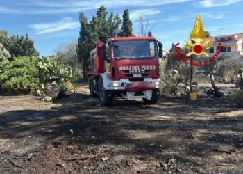 Numerosi incendi di sterpaglie e vegetazione alimentati dal forte maestrale in varie località
