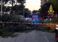 Un albero è caduto sulla sede stradale in via Scirocco, a Cagliari, coinvolte due auto, una donna è stata trasferita in ospedale per dei controlli