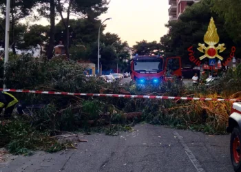 Un albero è caduto sulla sede stradale in via Scirocco, a Cagliari, coinvolte due auto, una donna è stata trasferita in ospedale per dei controlli