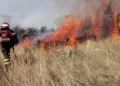 Ambiente: antincendio boschivo, aggiornate le prescrizioni regionali per la campagna AIB 2026
