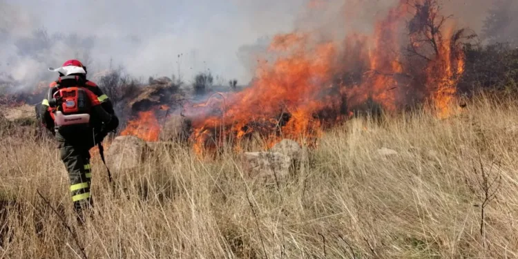 Ambiente: antincendio boschivo, aggiornate le prescrizioni regionali per la campagna AIB 2026