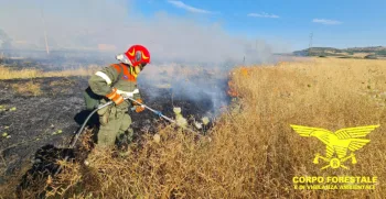 Incendi colposi: intensificati i servizi di prevenzione del Corpo forestale della Regione Sardegna