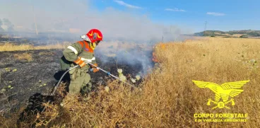 Incendi colposi: intensificati i servizi di prevenzione del Corpo forestale della Regione Sardegna