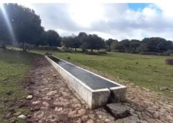Illorai: i nuovi pozzi trivellati in su Monte Artu serviranno ben 19 abbeveratoi e copriranno il fabbisogno degli allevamenti a pascolo brado