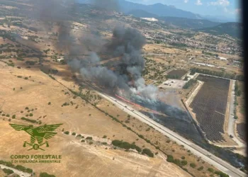 Ottana: incendio in località “Sa Serra”